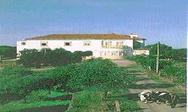 Castelo de Vide