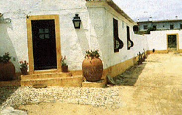 Aviz