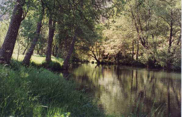 Ribeira de Castelo Branco