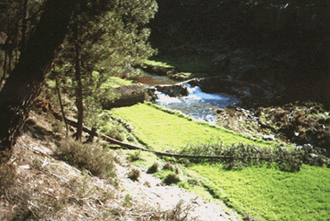 Ribeira da Sert� 